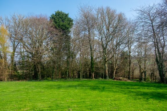 A small area of woodland covers the eastern edge of the property Green field with bare trees and sparse foliage under a clear blue sky.