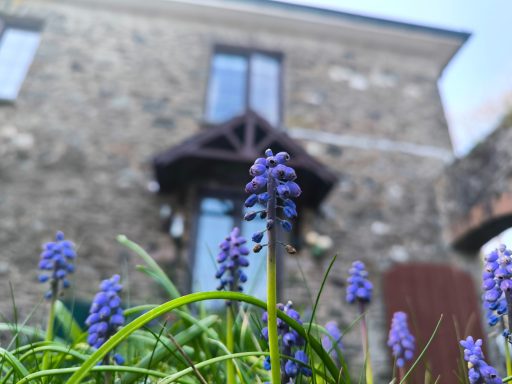 Kitchen entrance Purple flowers in the foreground with a stone house and large windows in the background.